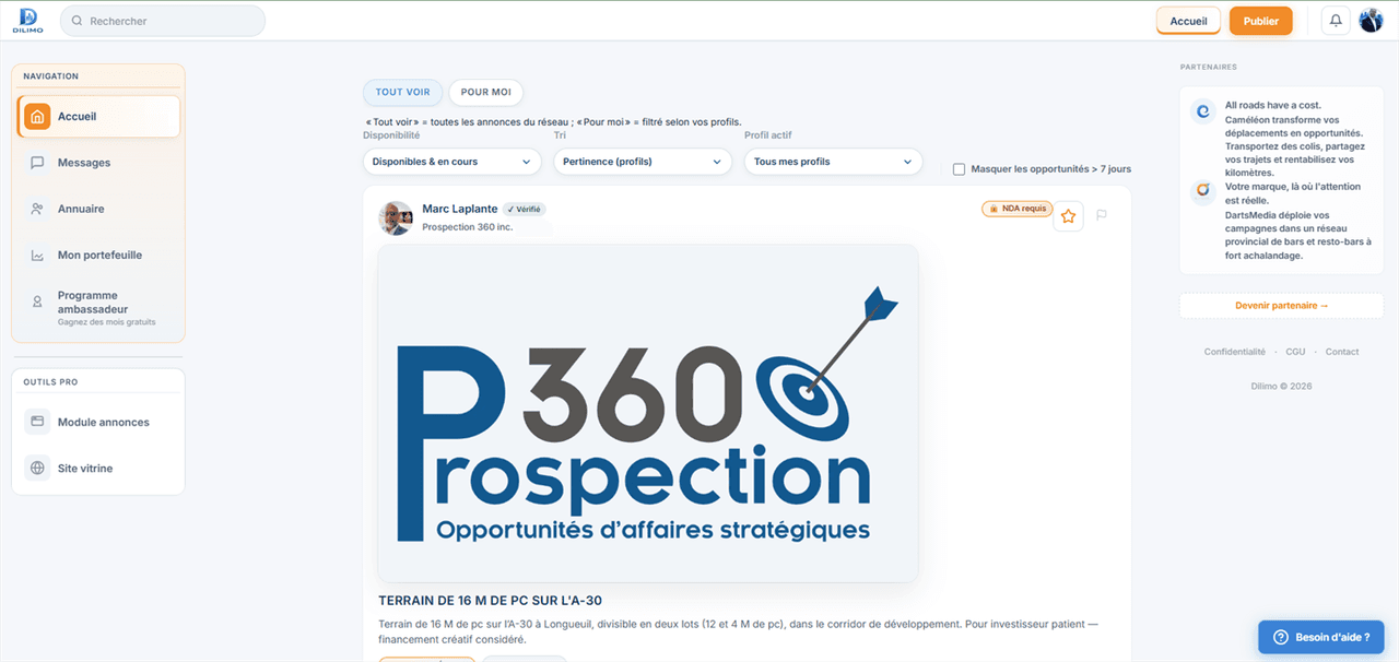 Aperçu du site Dilimo